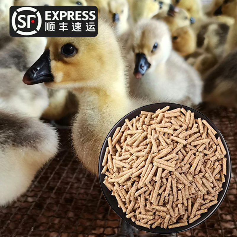 【三两左右】鹅饲料 饲料 狮头鹅专用饲料肥鹅饲料
