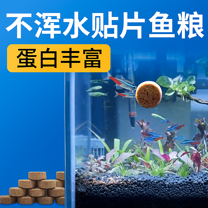 海豚贴片鱼粮粘贴鱼食物大瓶热带鱼食小型鱼饲料草缸鱼粮观赏鱼