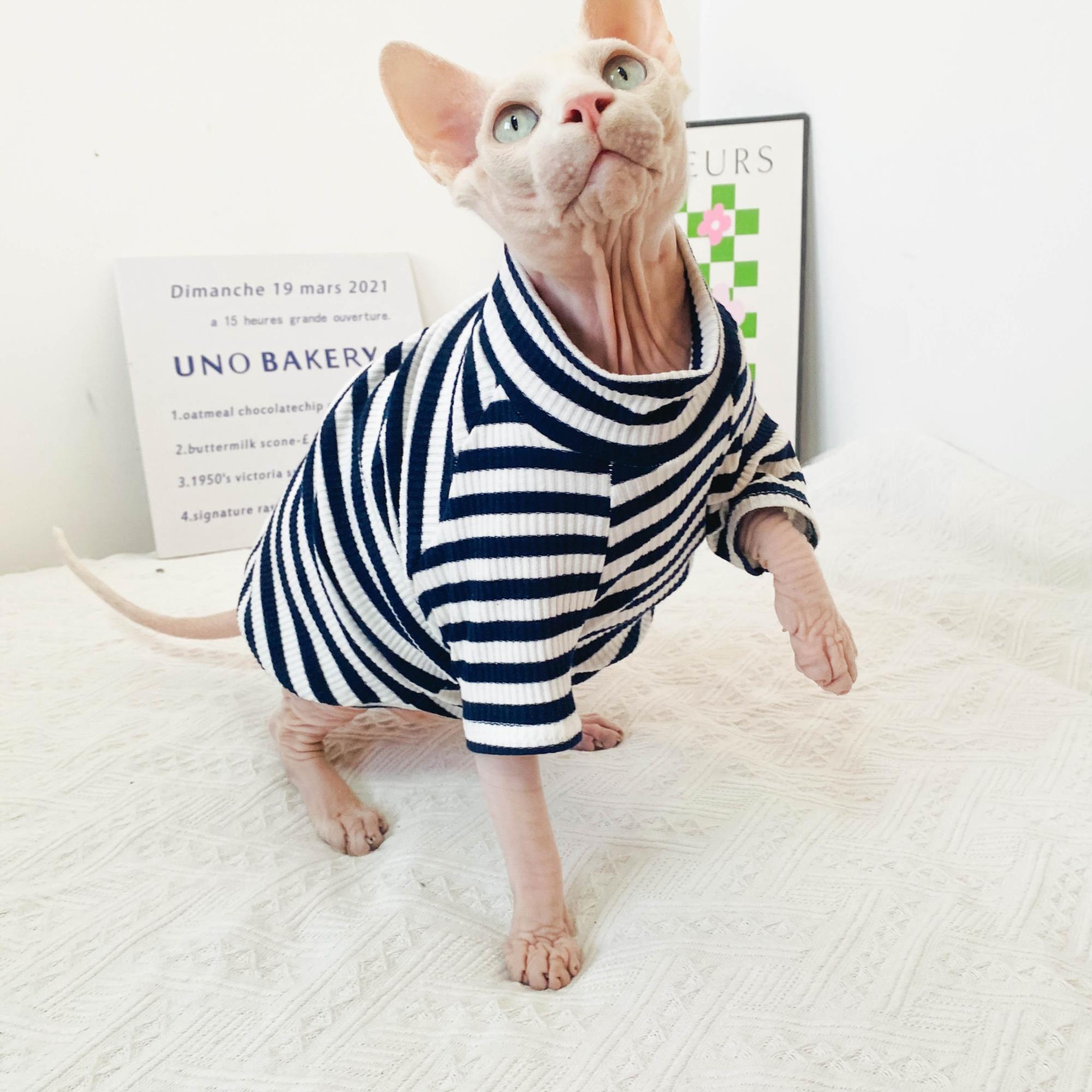 斯芬克斯无毛猫衣服 保暖秋冬款比鲁斯矮脚德文加厚加绒