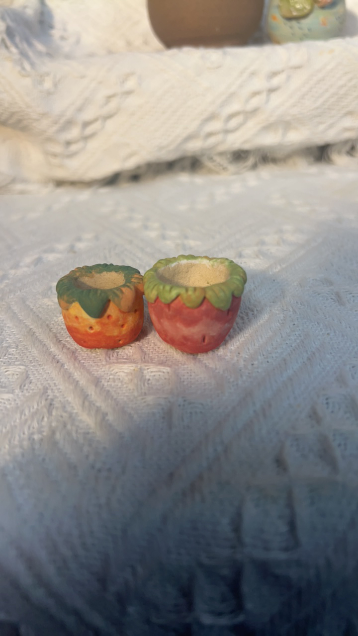 老梧家多肉花盆 胖嘟嘟拍
