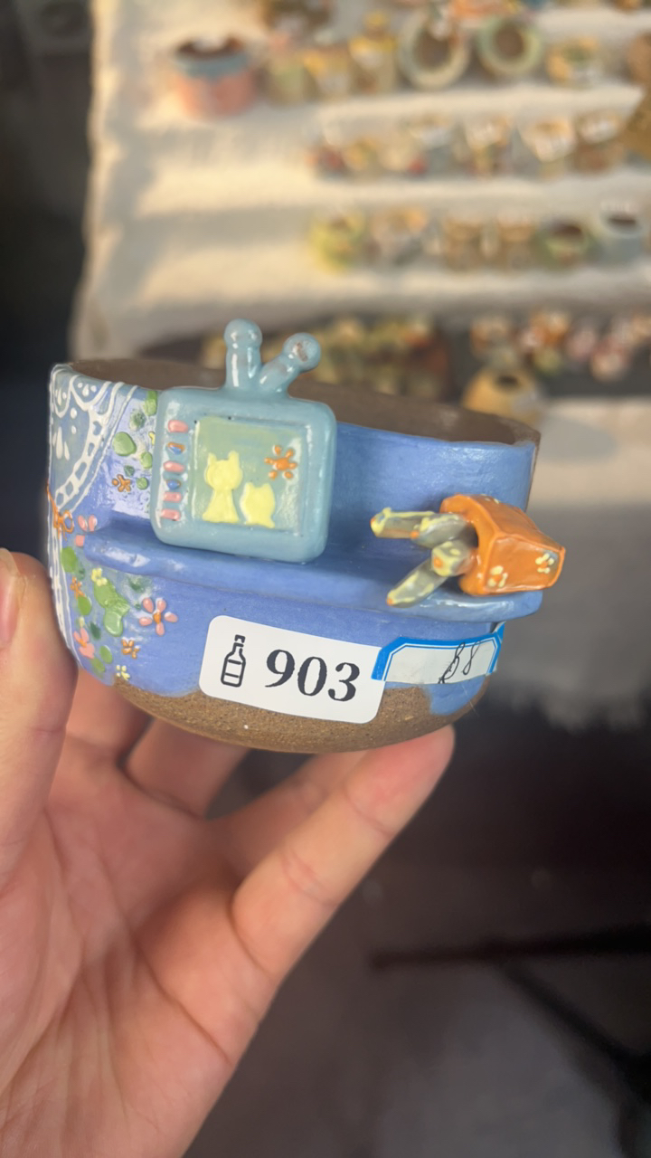 老梧家多肉花盆 星空拍