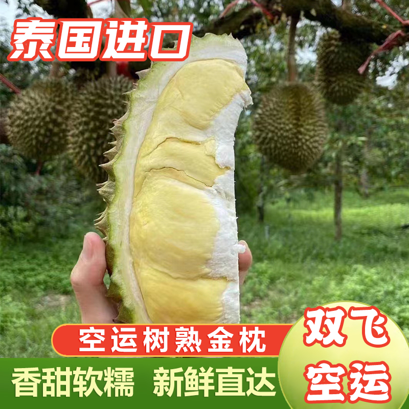【国际顺丰 泰国直飞】泰国树熟金枕全程空运现摘自然熟1