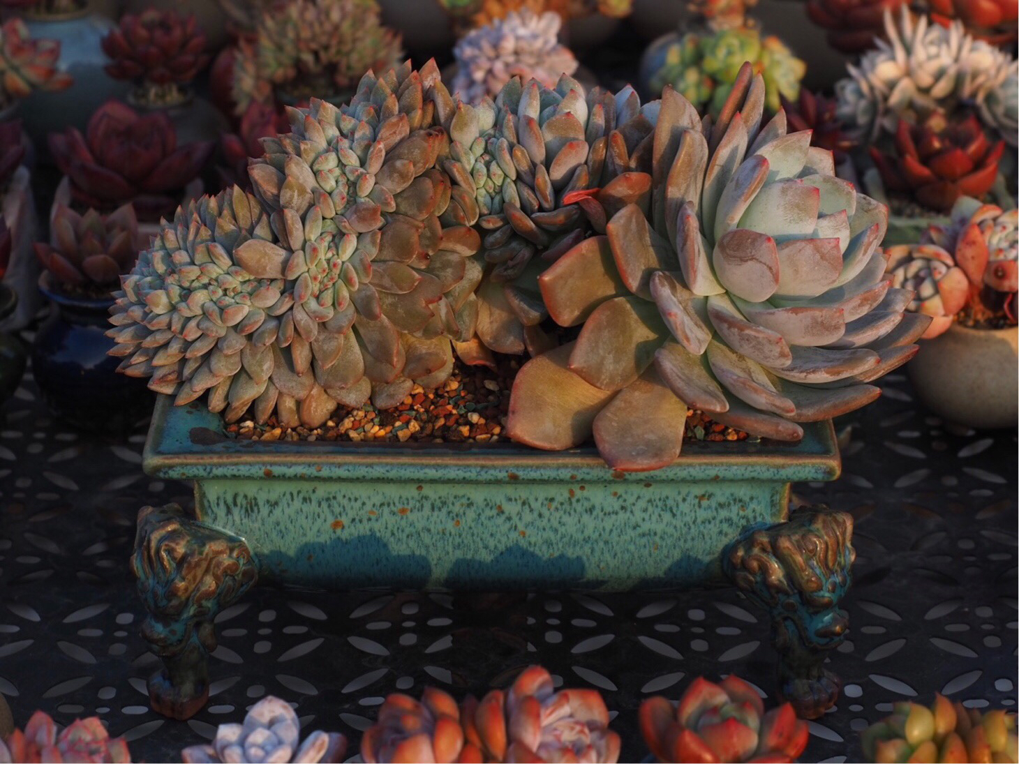 39-299链接 觉象陶瓷 觉象钧创 觉者之象艺术特色