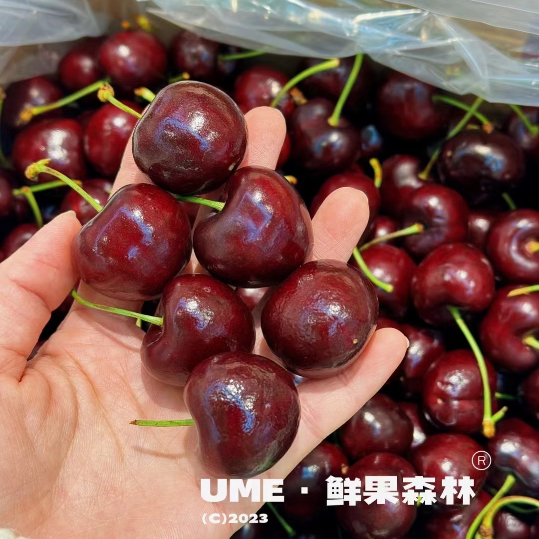 3JD加黑加大车厘子一斤（福利爆款）