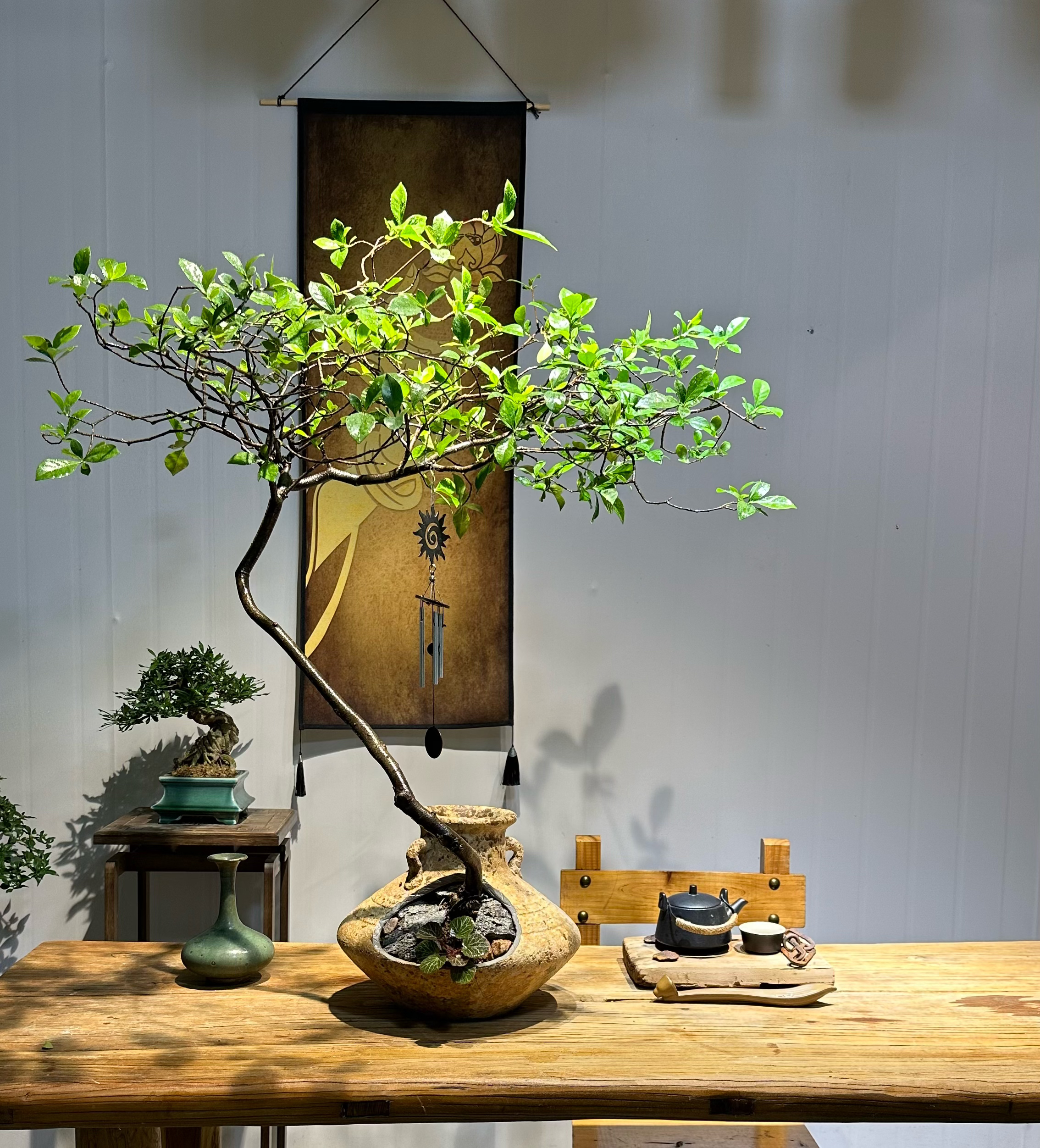 海岛栀子花盆景植物造型阳台书房客厅办公桌室内绿植盆景园庭院