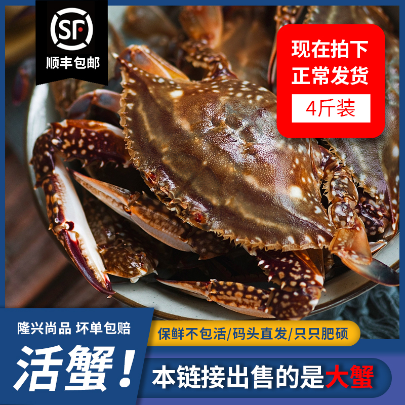 优选舟山梭子蟹活发大白蟹公蟹4斤6只左右5两以上【保鲜不保活】