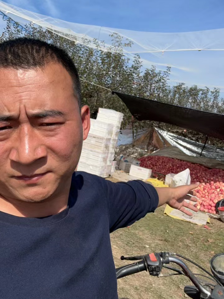 【爆甜】二级果   微瑕疵(介意勿拍)   18颗装