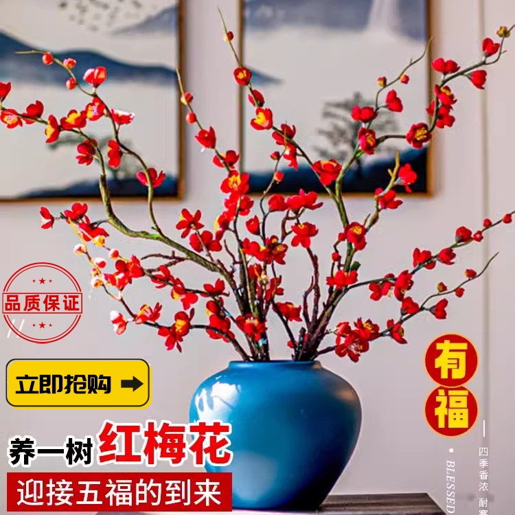 鲜切枝水培红梅带花苞干枝腊梅水养室内花卉植物装饰家用插花绿植