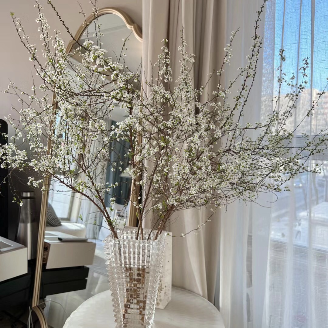 雪柳干枝水插花水培鲜花鲜切花遇水开花室内水养鲜花绿植鲜枝泡水