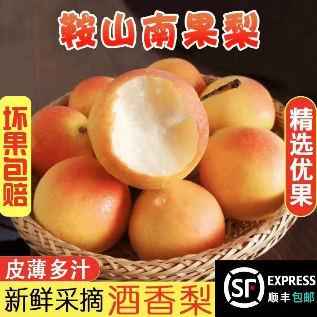 东北南果梨新鲜香甜多汁香水梨口感香甜汁水丰盈顺丰发货采摘