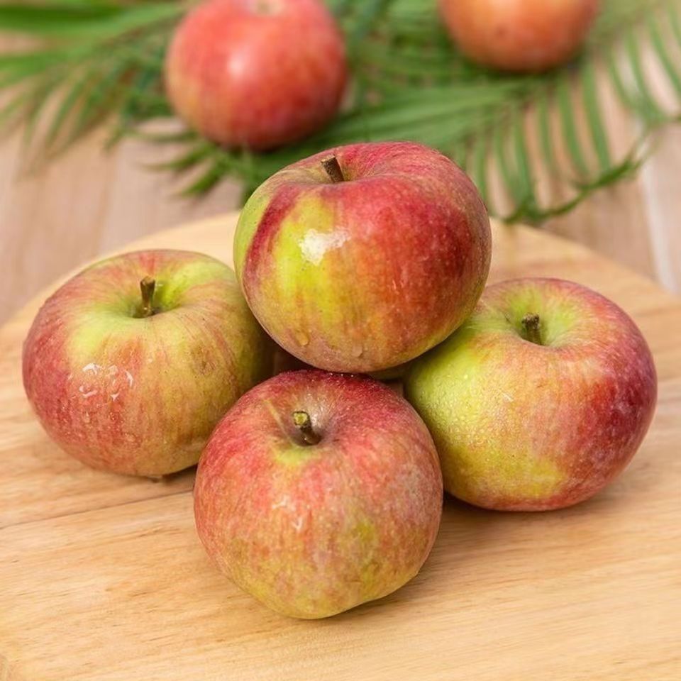 瓦房店老品种国光苹果酸甜可口孕妇水果小苹果果光
