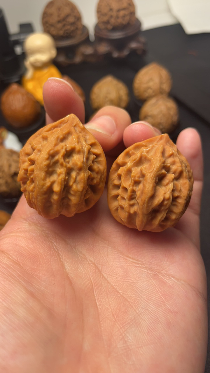 野生文玩大粗筋霸王龙