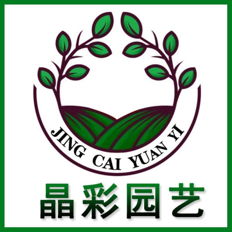 （满18元包邮）多肉植物 仙人球 仙人掌 使用