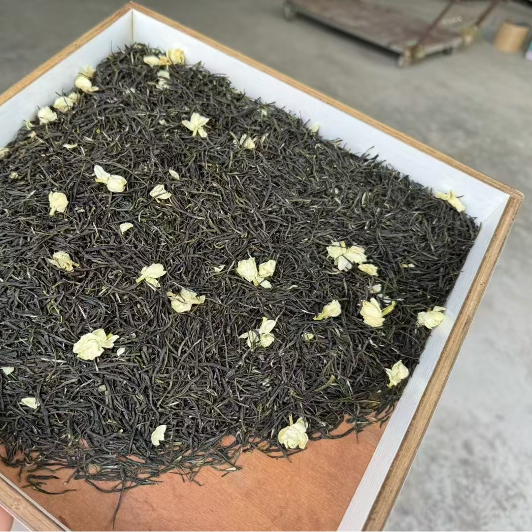 广西横县茉莉花茶茉莉黑美人130