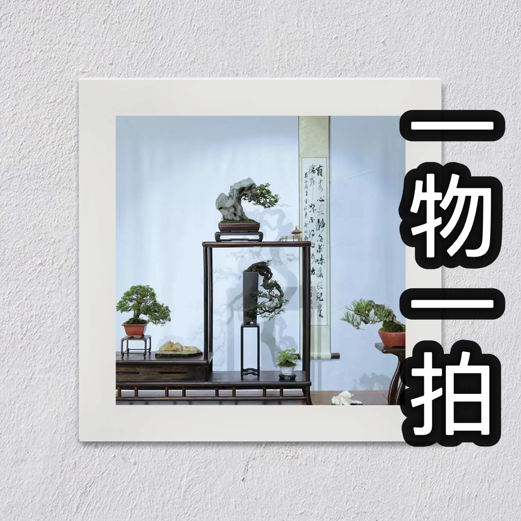 『四季园林精品盆景』一物一拍，拍前联系客服，请勿自助下单