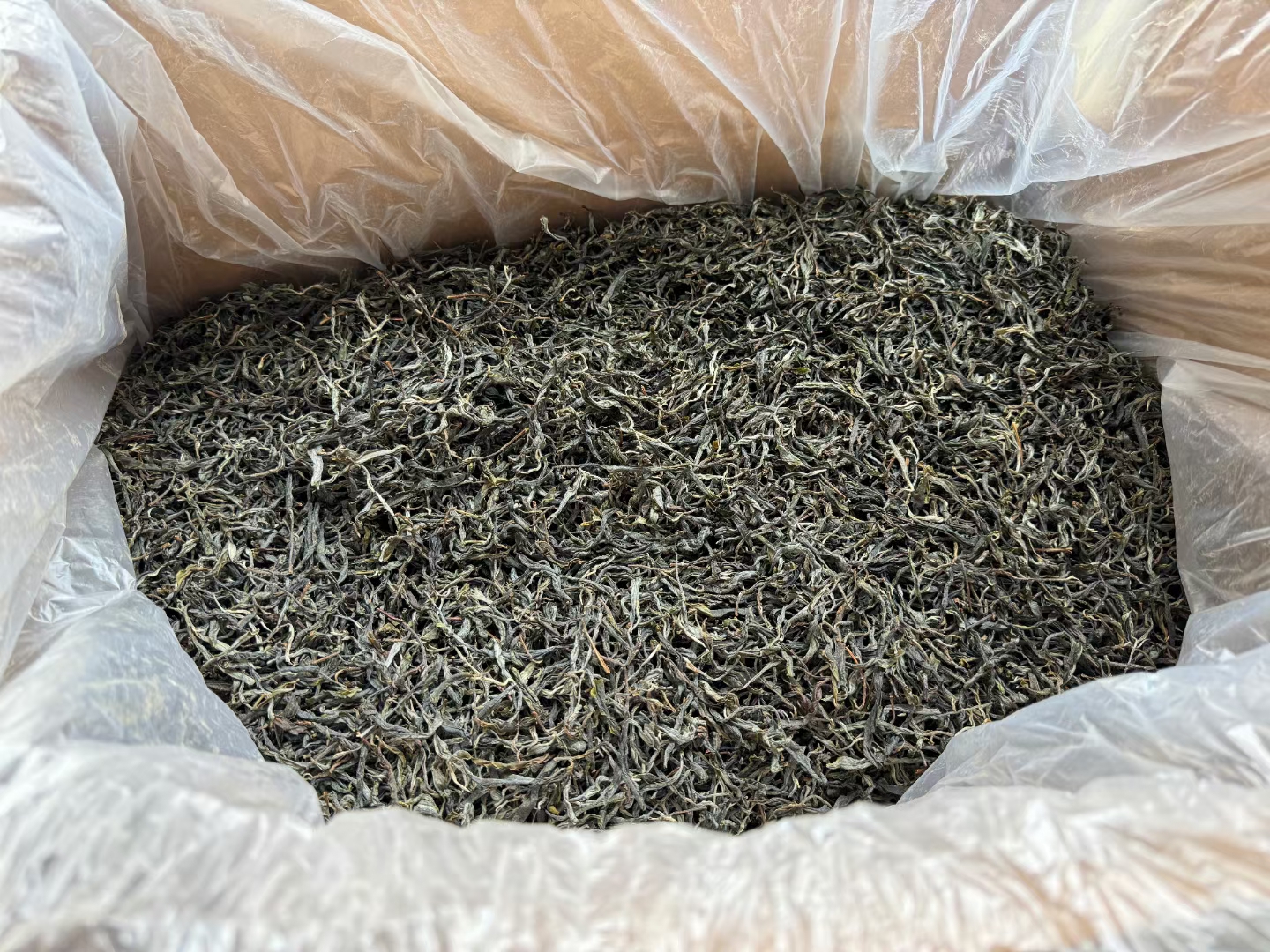 2025春二百棵古树（耐泡有野韵味回甘生津持久）一份200克