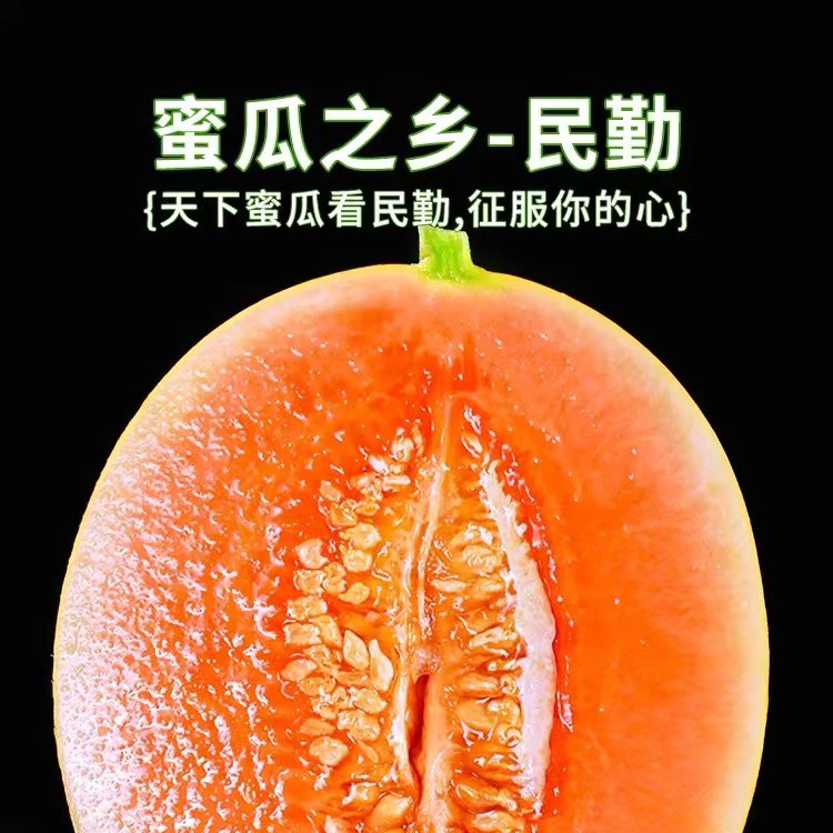 【产地直发13】甘肃民勤沙漠蜜瓜 金红宝 新鲜水果 6-9斤装