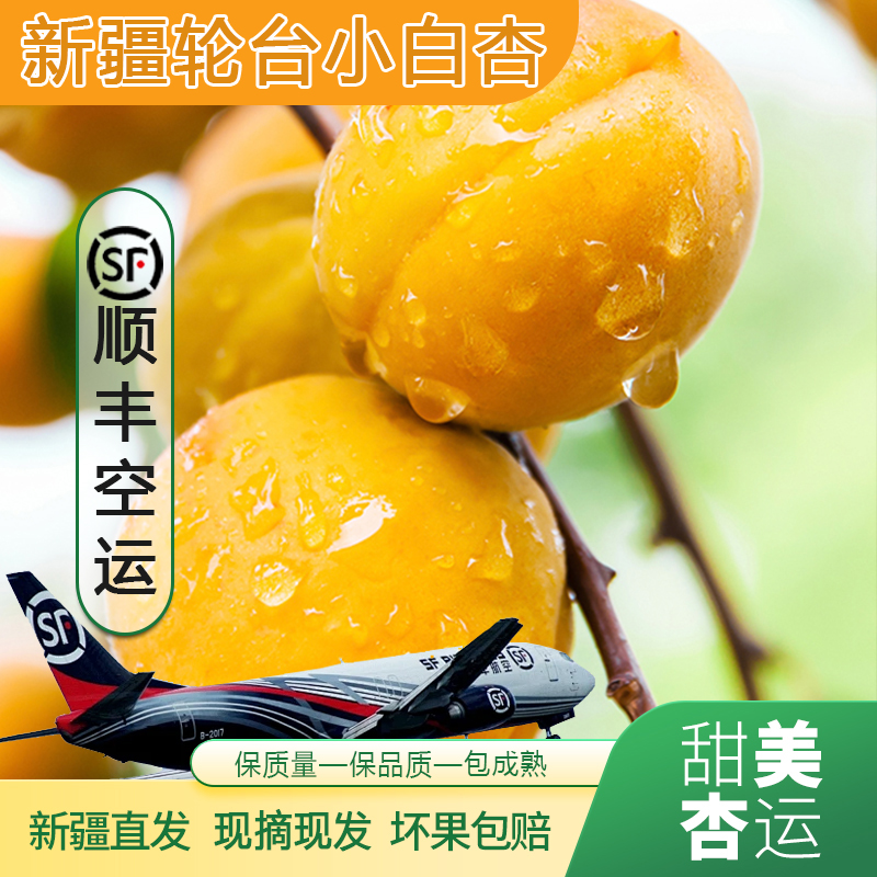 轮台阳霞小白杏甜可口2025年新下水果新鲜营养