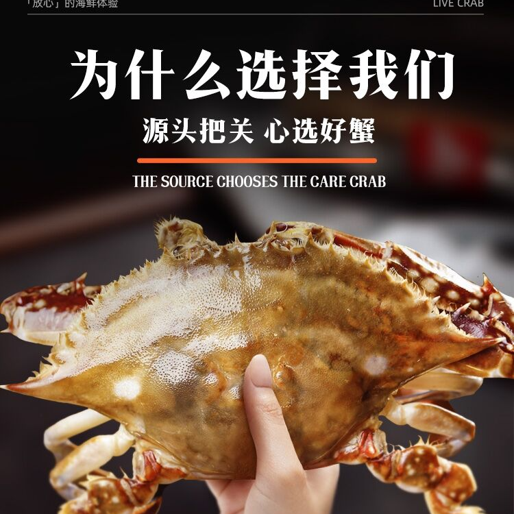肉母蟹单人尝鲜价（2只）