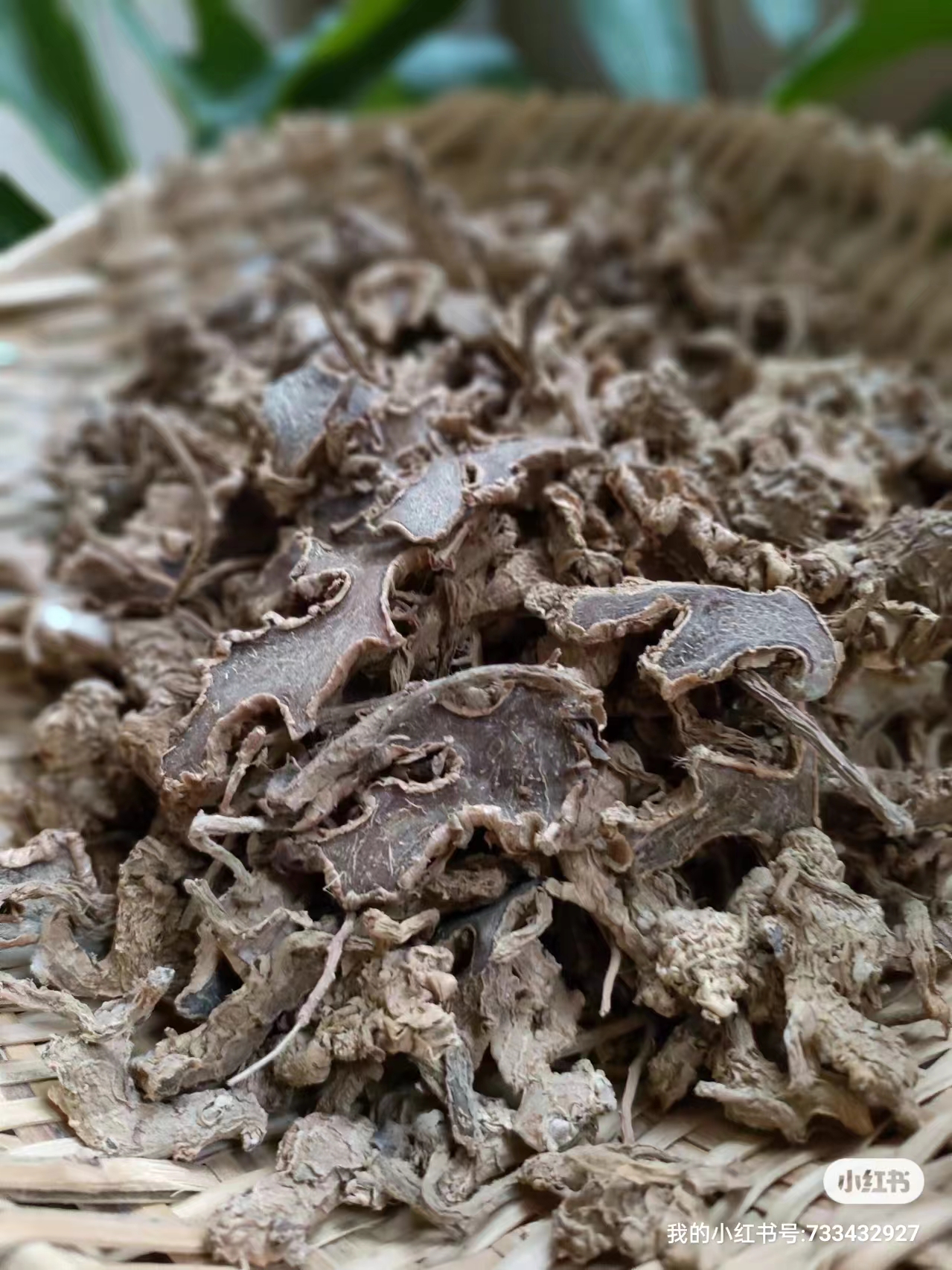 风姜干阳春特产风姜 月子姜 月婆姜三蒸三晒无硫阳春发货100g包邮