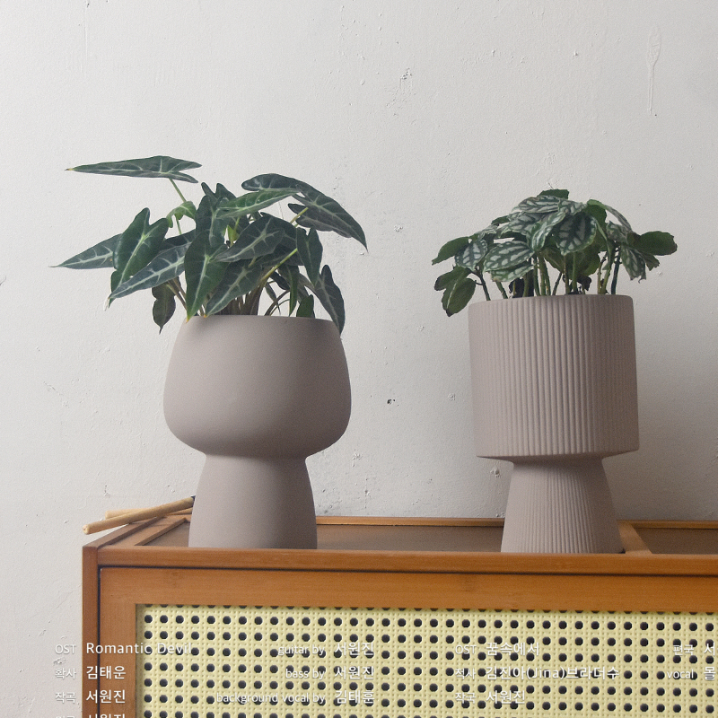 【新品高盆粉陶花盆]酒杯盆透水透气蝴蝶兰白犀牛蓝花楹龟背竹