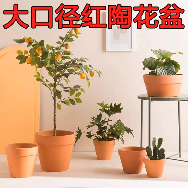 【红陶大口径单个装】红陶花盆透气吸水