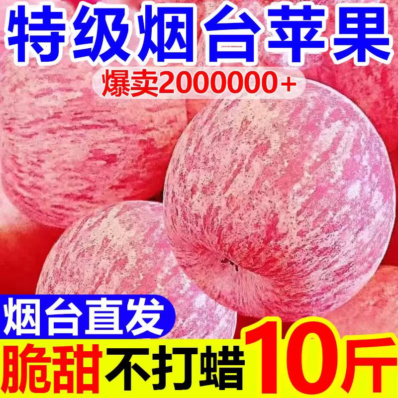 山东烟台水果苹果超大超甜脆香