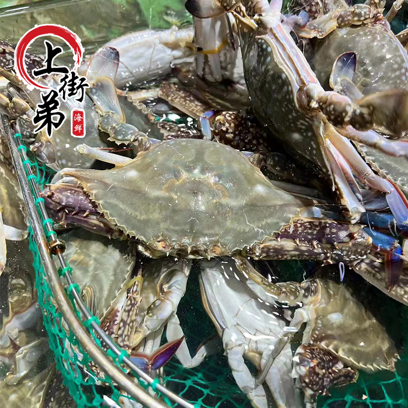【公梭子蟹】【保鲜不保活】上街弟海鲜 正蟹2-3两/只 3/5斤