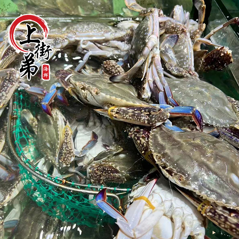 【母梭子蟹】【保鲜不保活】梭子蟹正蟹2-3两/只3/5斤新鲜