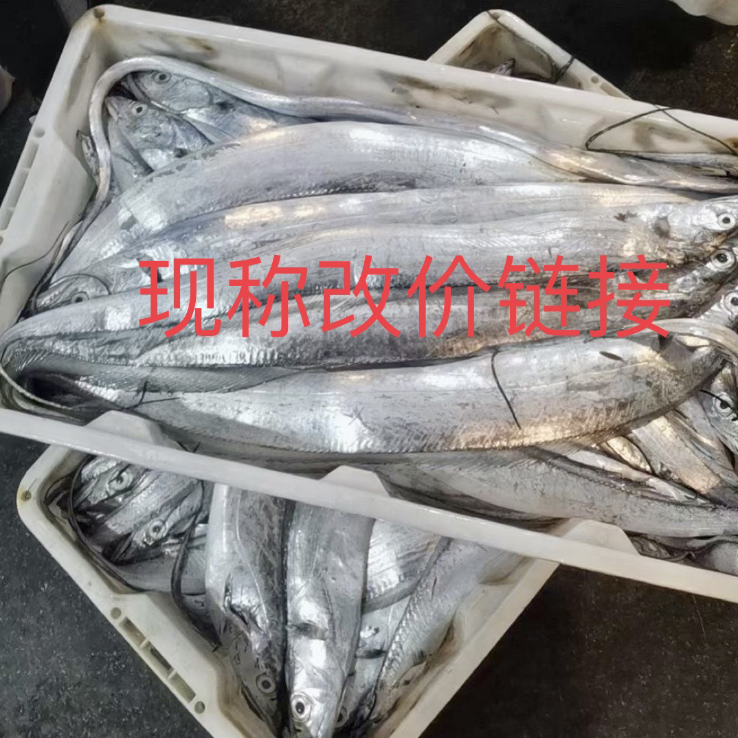 【改价链接】石浦东海本地油带鱼1500g 海鱼
