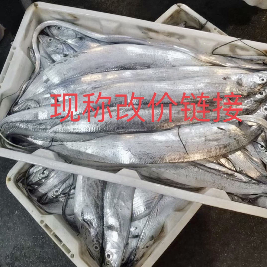 【改价链接】小眼睛油带鱼3斤