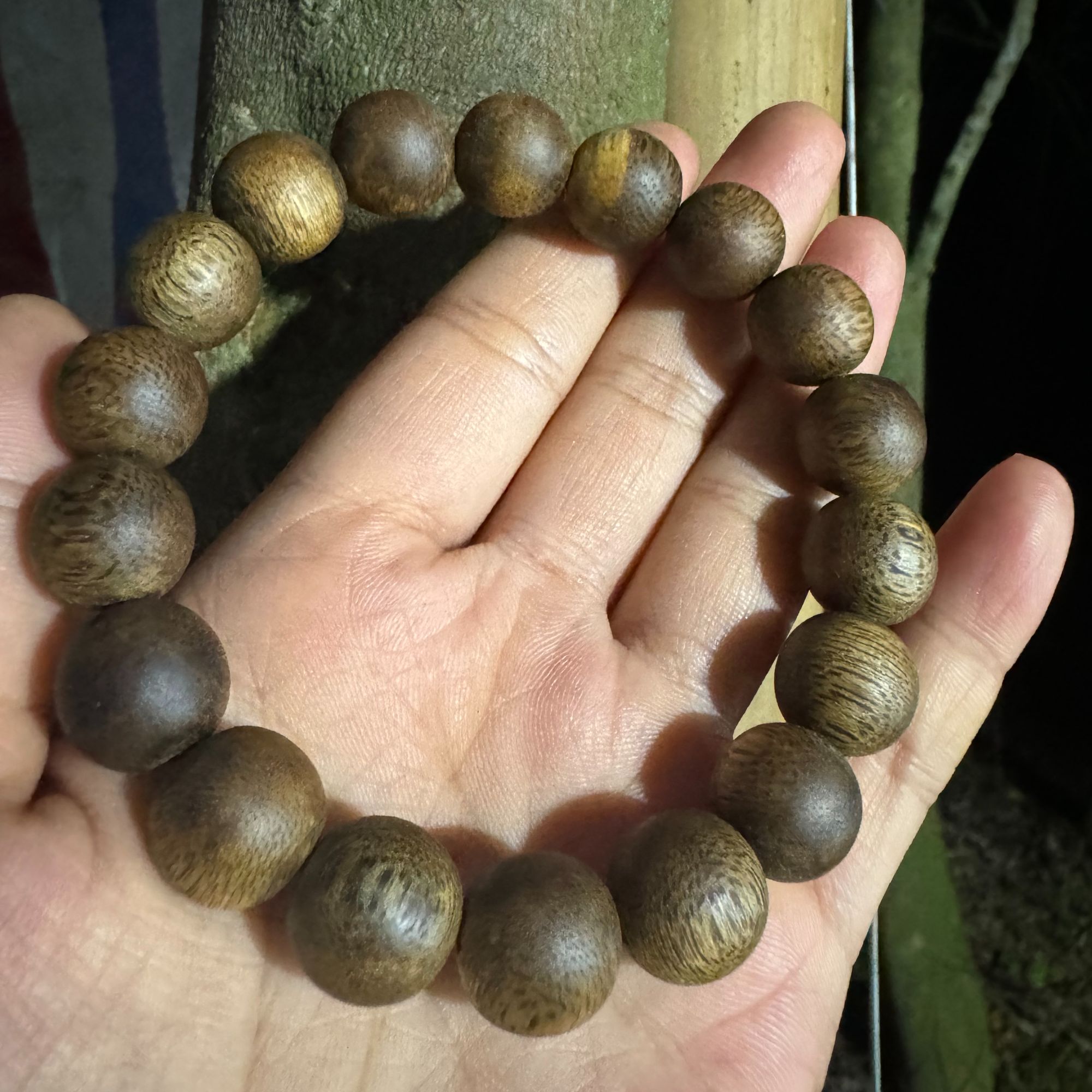 1.2奇楠沉香12克多样性发一