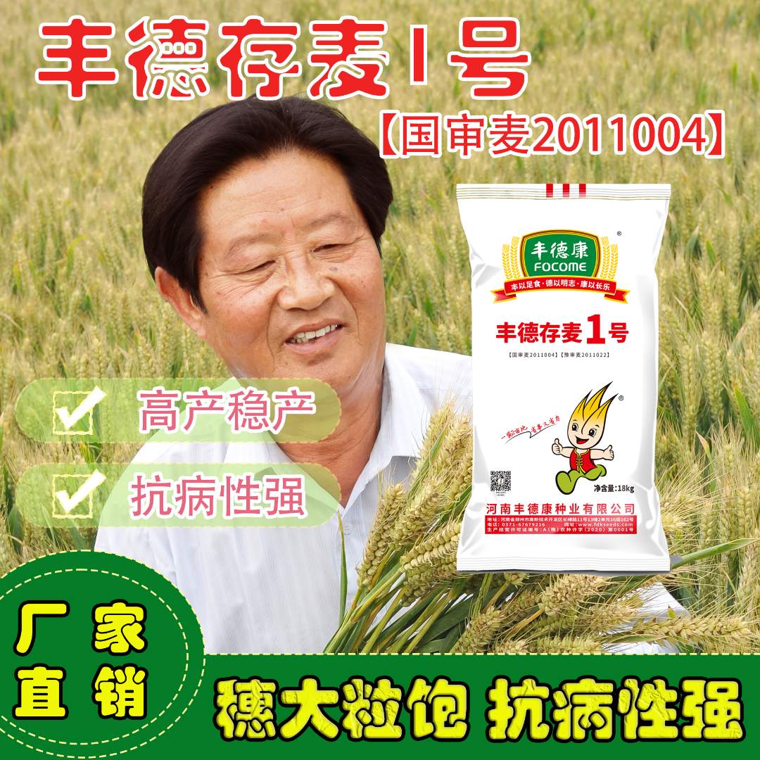 focome/丰德康存麦1号小麦 耐旱耐瘠薄稳产高产  14年经典品种