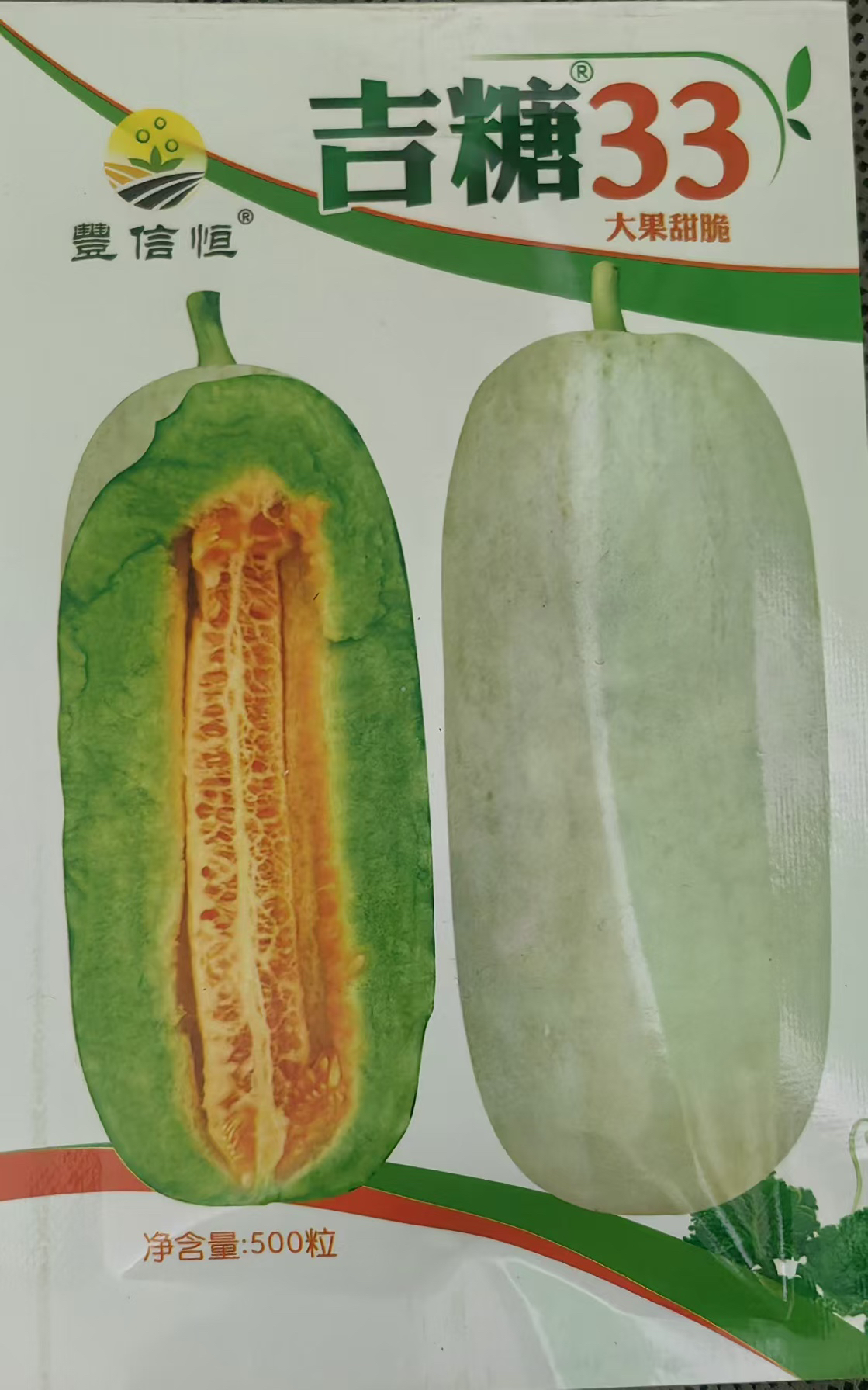 丰信恒吉糖33高品质薄皮甜瓜种子，72类型果皮白无青肩，高糖五百粒