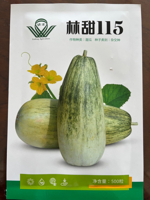 林甜115金芒果类型薄皮甜瓜种子耐裂果金黄绿肉高产易坐果五百粒