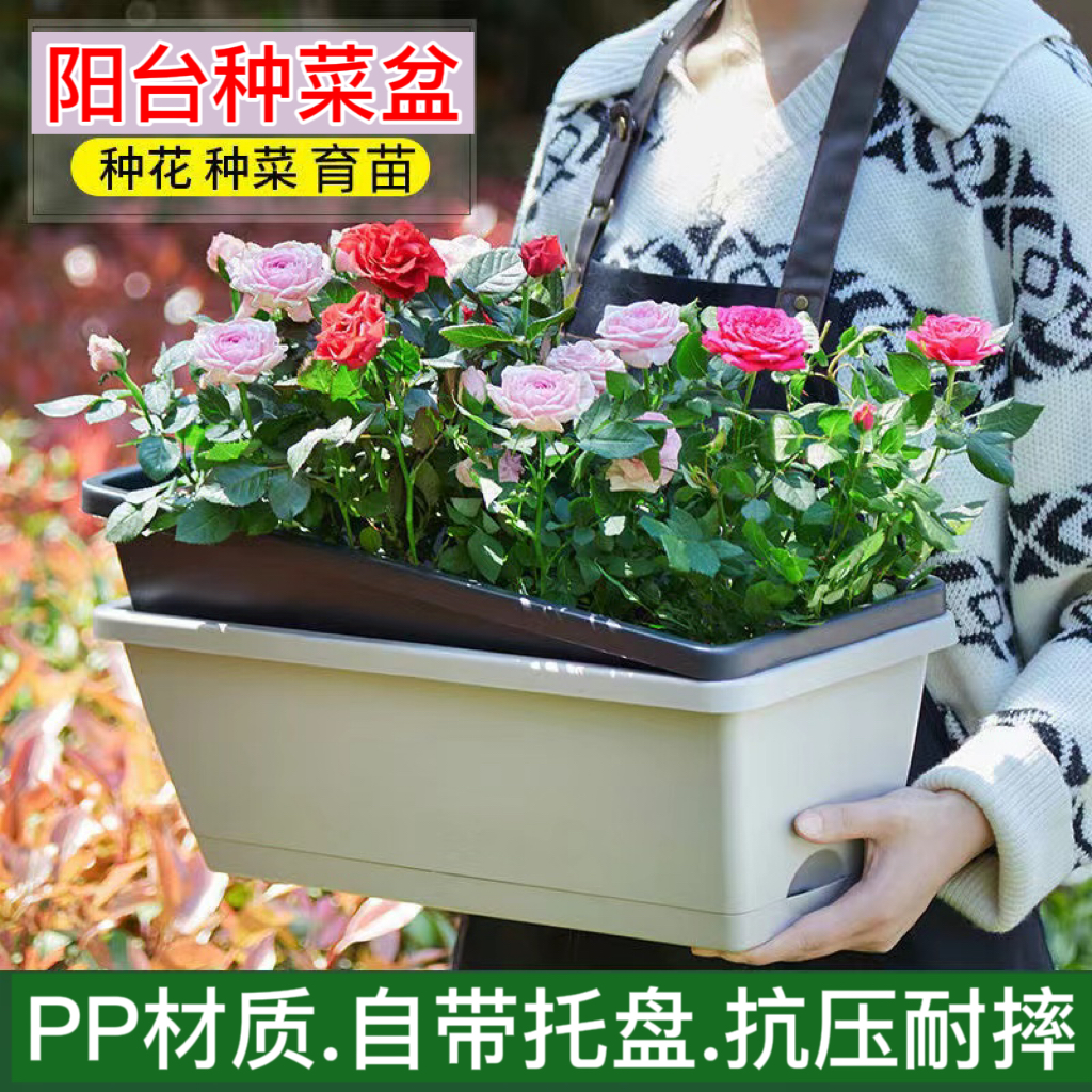 特价阳台种菜盆长条霍伦盆塑料家庭种植箱种花蔬菜长方形特大花盆