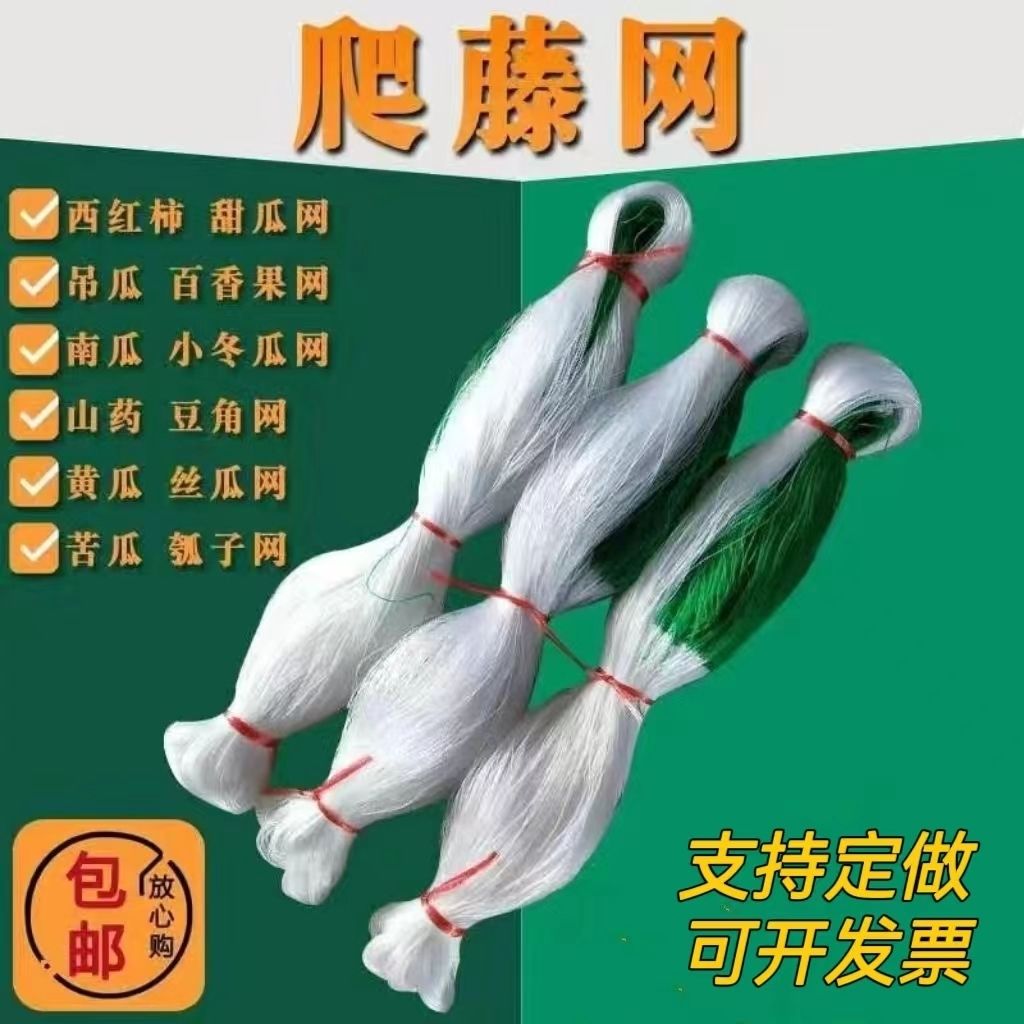 植物爬藤网山药网豆角网黄瓜网攀爬蔬菜瓜果种植百香果吊瓜网
