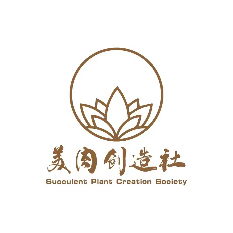 美肉创造社直播多肉一物一拍专用链接