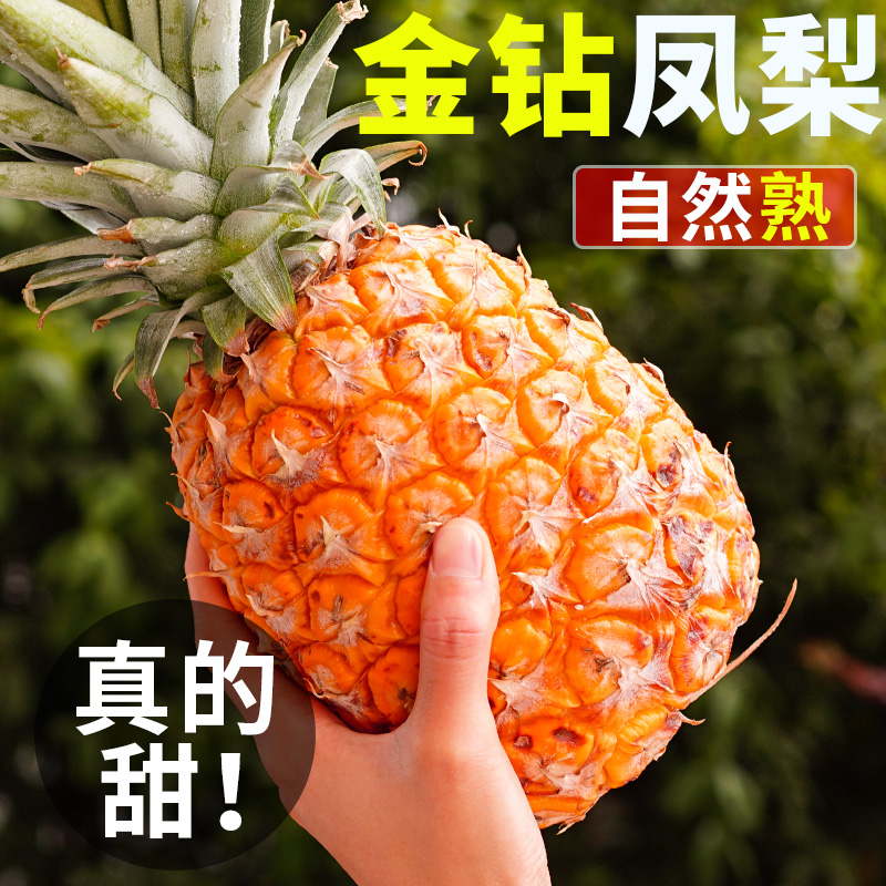 海南金钻凤梨5斤新鲜水果香水菠萝dr香甜手撕正宗凤梨美味