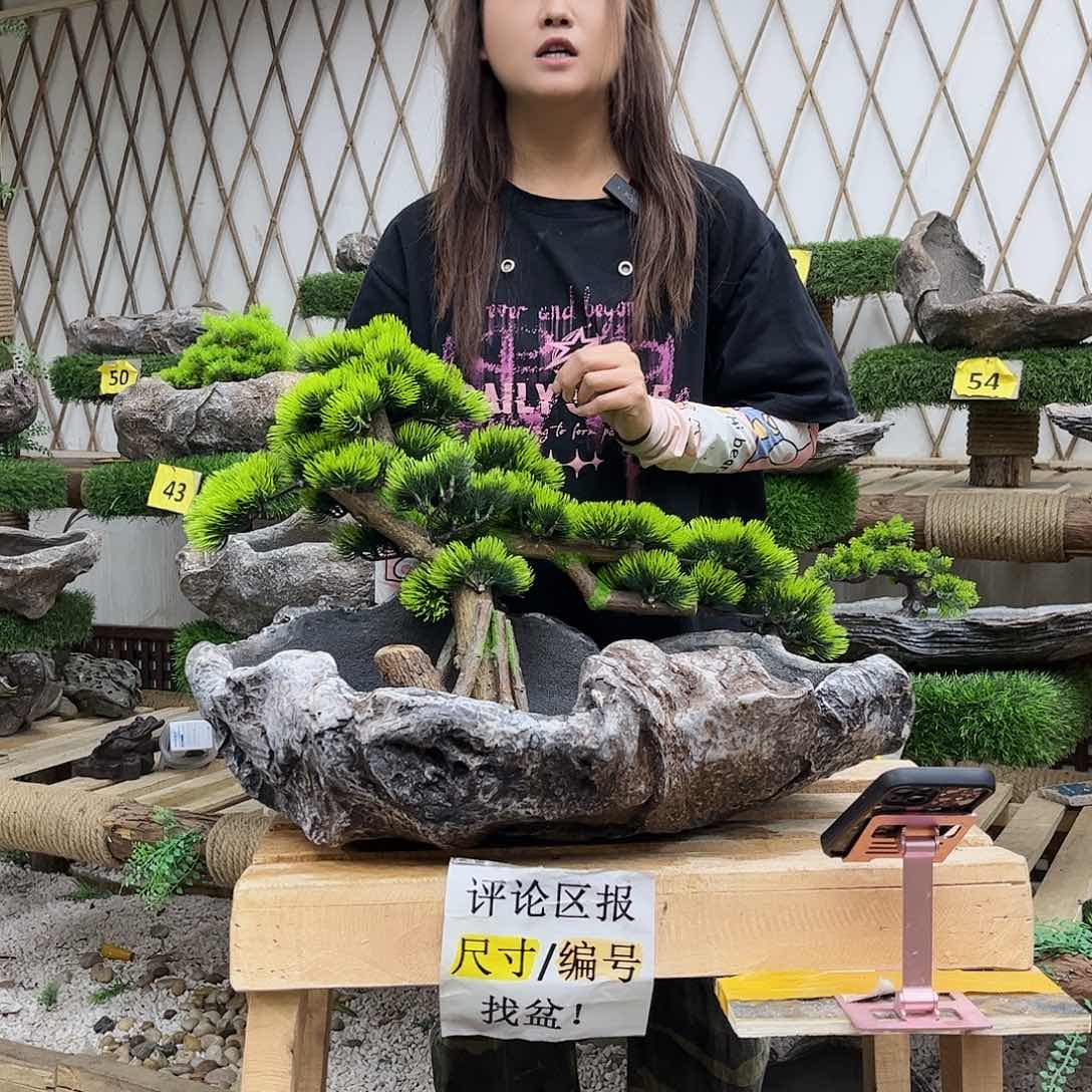 盆景艺术的设计p1-021