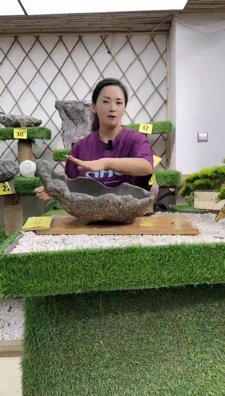 【闪购商品】异型盆景盆P2-015