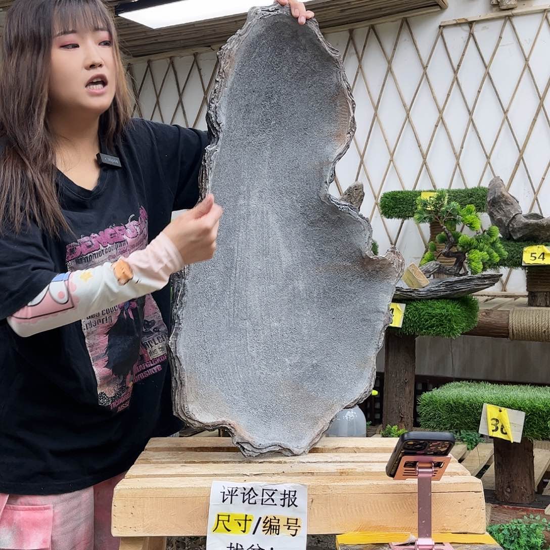 盆景艺术的设计师p5-005