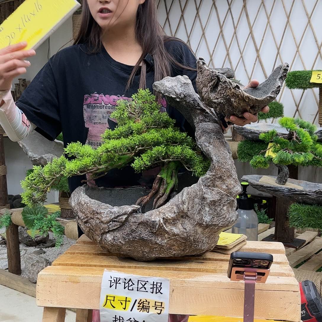 盆景艺术的设计p1-007