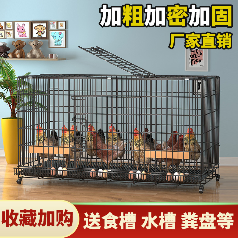 【小扬哥甄选】鸡笼子家用室内室外大号特大号下蛋养鸡笼鸡窝鸡舍