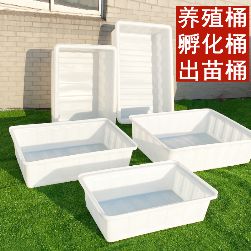 户外加厚水产养殖桶养龟卖鱼浅盆大号牛筋塑胶水箱长方形塑料船