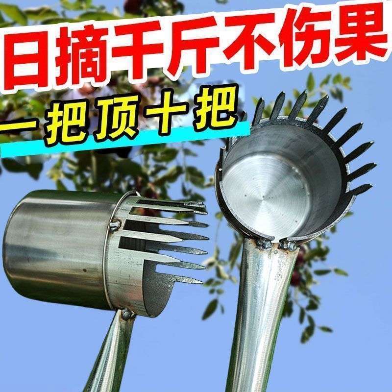 摘果器新款采酸枣神器加厚不锈钢采摘山枣专用工具撸小枣山楂杨梅