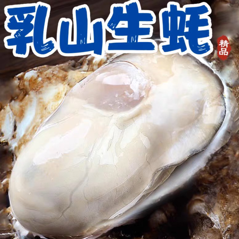 【拍5斤送5斤】正宗乳山生蚝原产地顺丰京东冷链发货（10斤装）