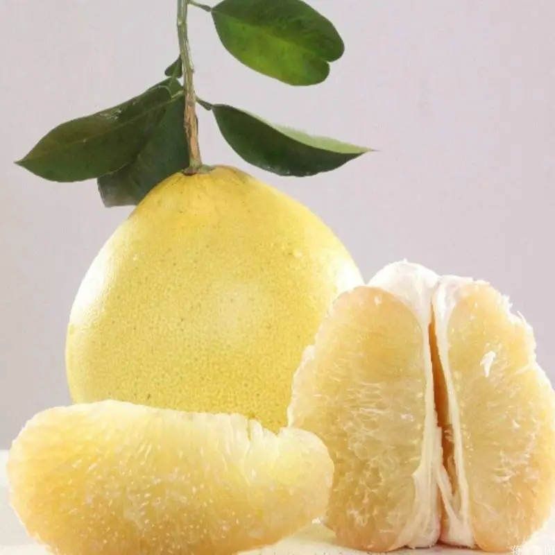 冰糖柚（大）*500g±50g