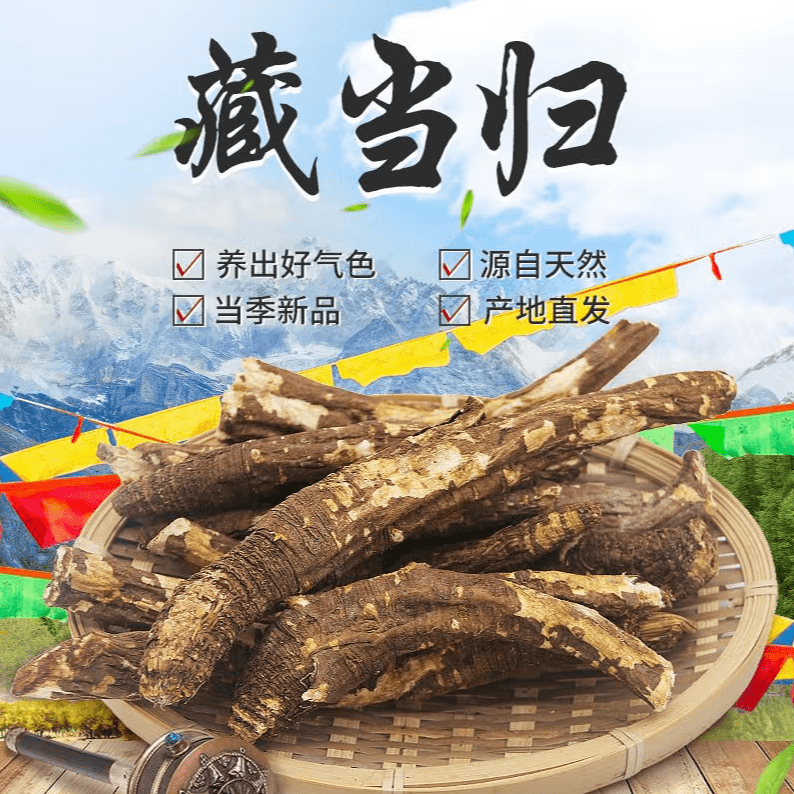西藏藏当归西藏特产煲汤