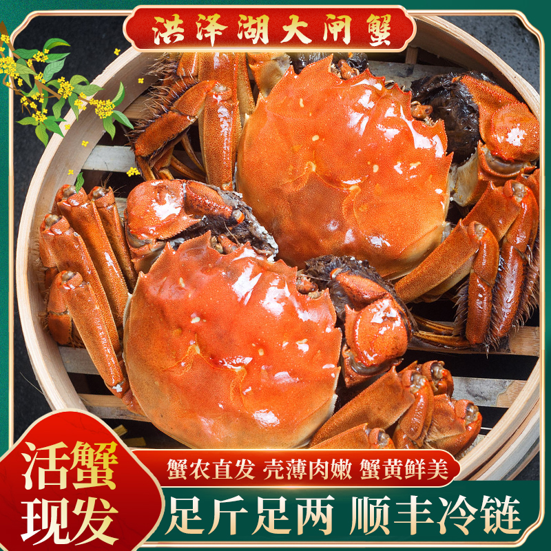【活蟹现发】3.0-2.7两公蟹8只送2只精品大闸蟹顺丰包邮